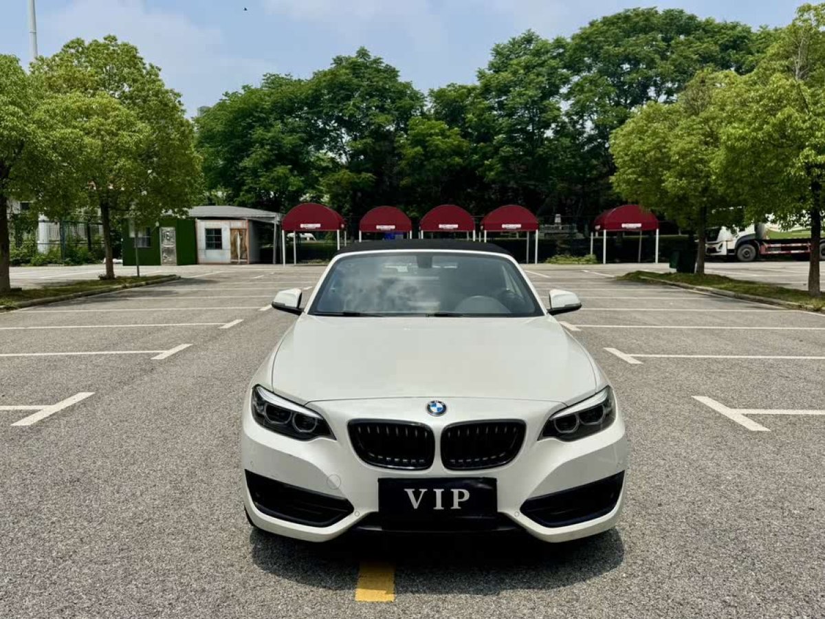 寶馬 寶馬2系  2019款  225i 敞篷轎跑車 運動設(shè)計套裝圖片