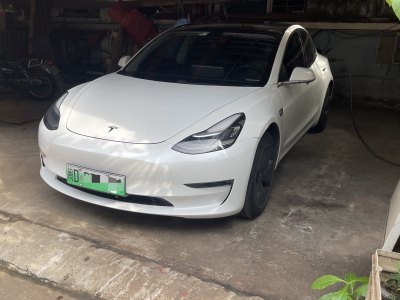 2019年9月 特斯拉 Model 3 標準續(xù)航后驅(qū)升級版圖片