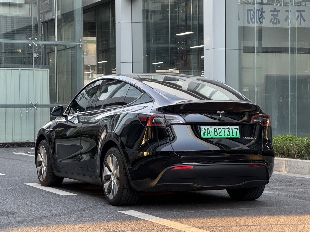 特斯拉 Model Y  2020款 改款 長(zhǎng)續(xù)航后輪驅(qū)動(dòng)版圖片