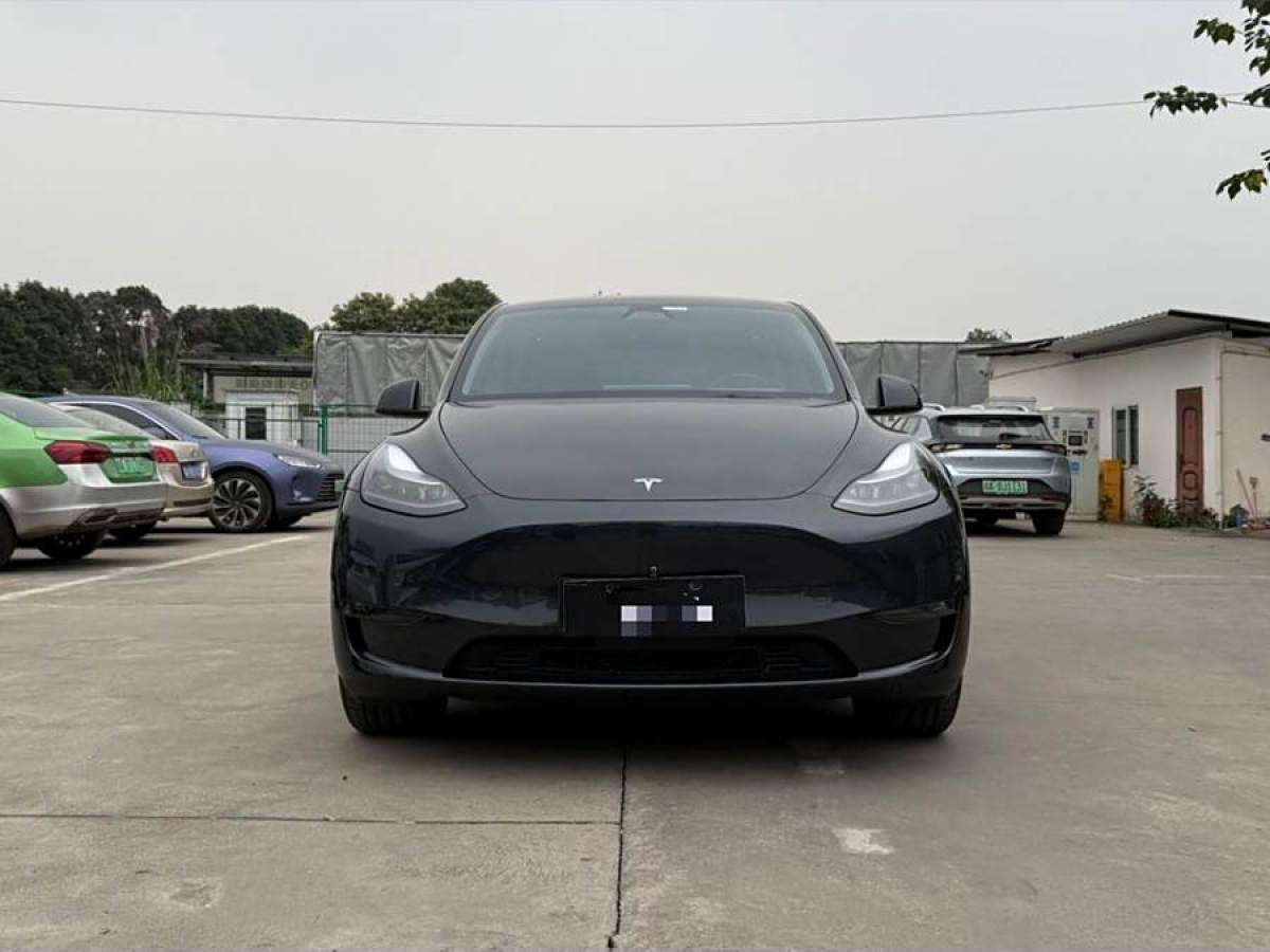 特斯拉 Model Y  2024款 長續(xù)航全輪驅(qū)動(dòng)版圖片