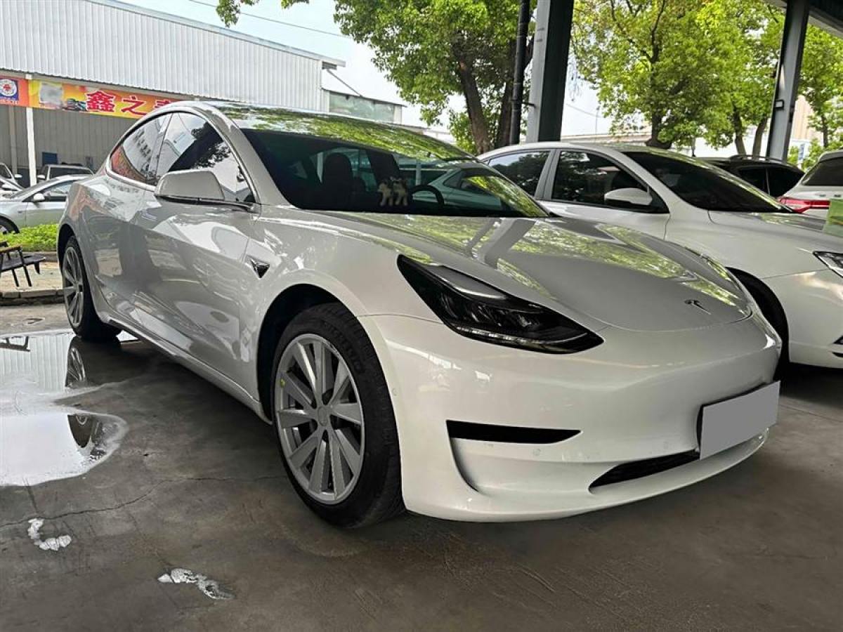 特斯拉 Model 3  2020款 改款 標(biāo)準(zhǔn)續(xù)航后驅(qū)升級(jí)版圖片