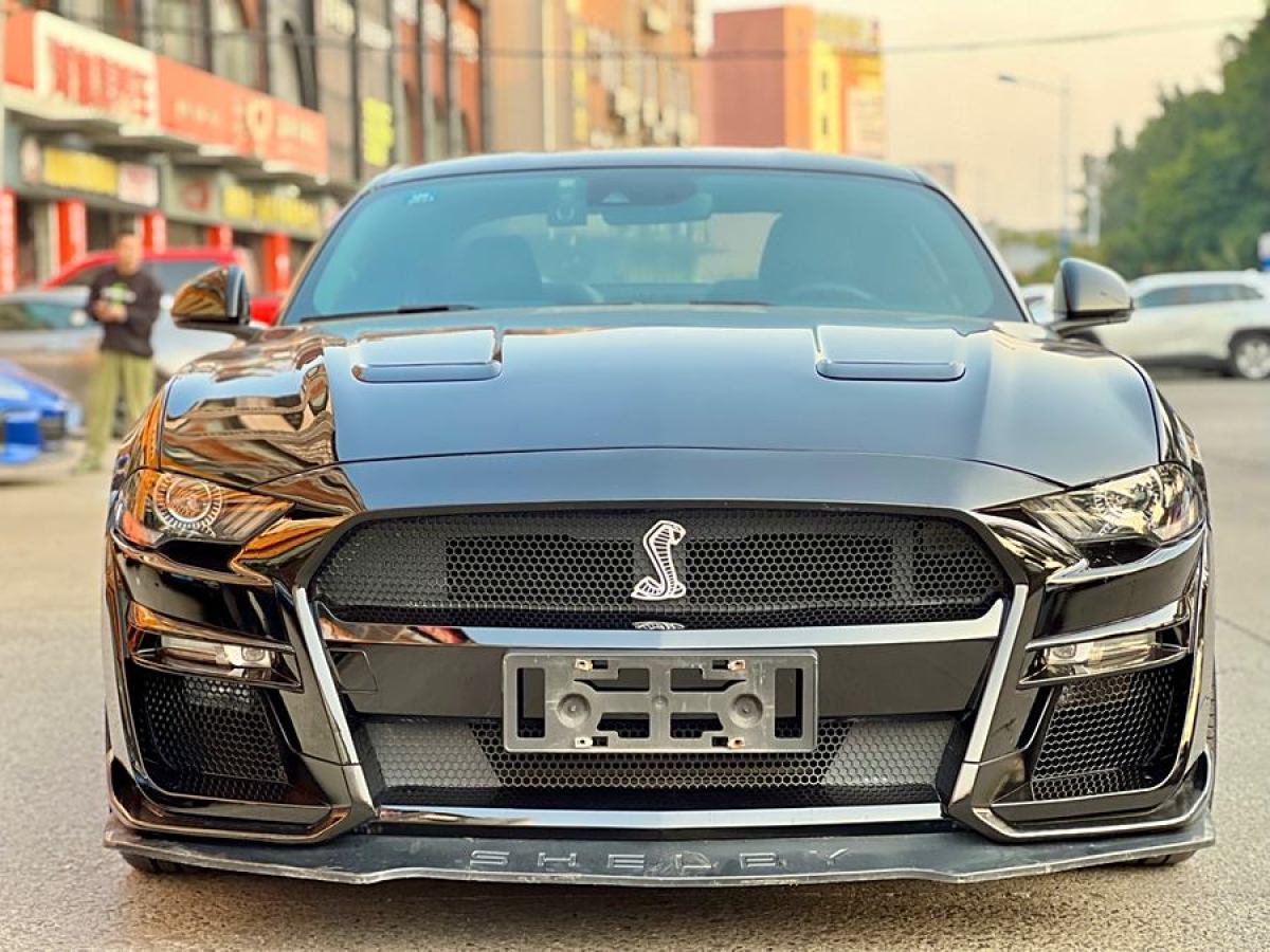 福特 Mustang  2020款 2.3L EcoBoost圖片