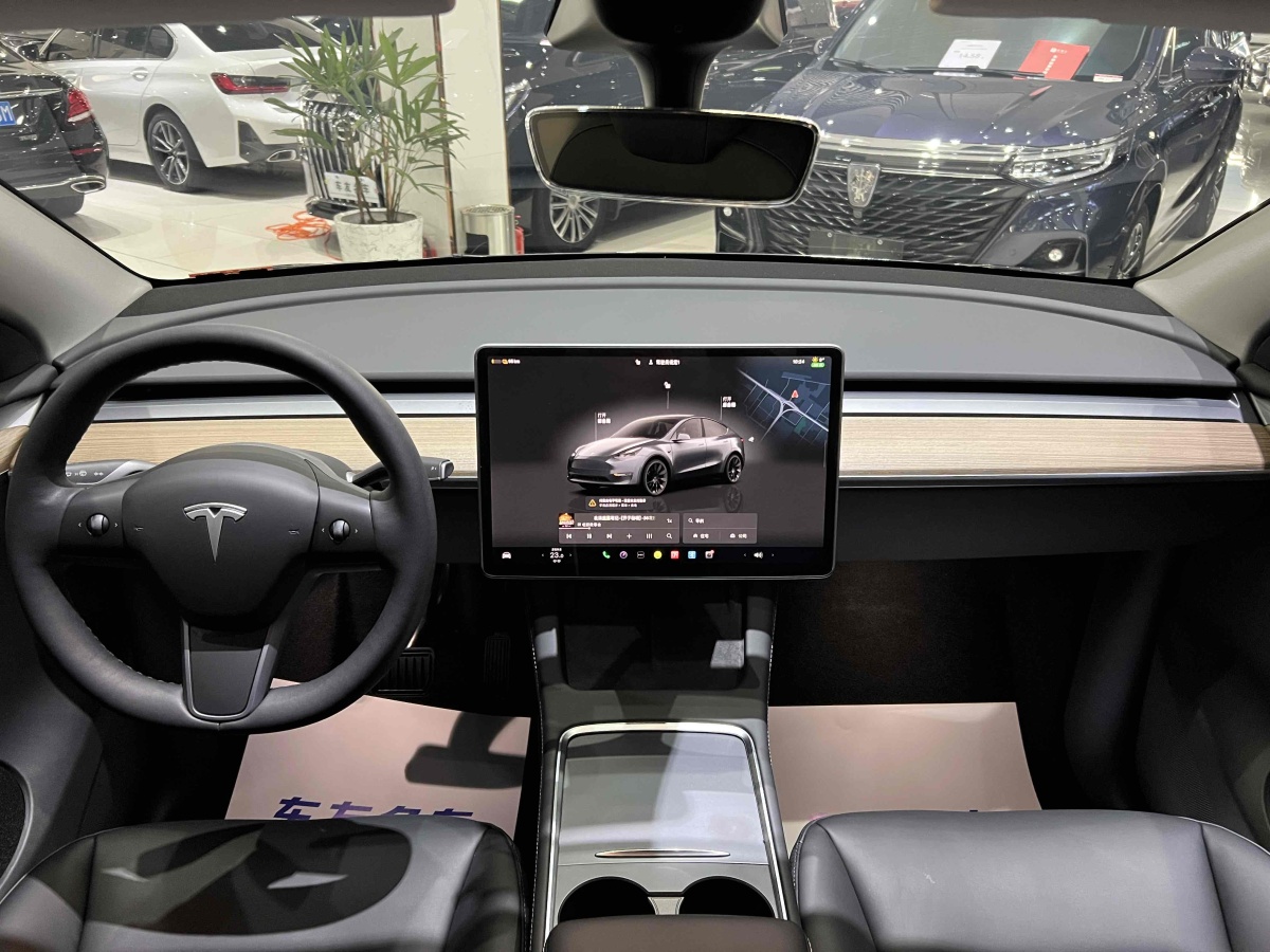 特斯拉 Model Y  2021款 改款 Performance高性能全輪驅(qū)動版圖片