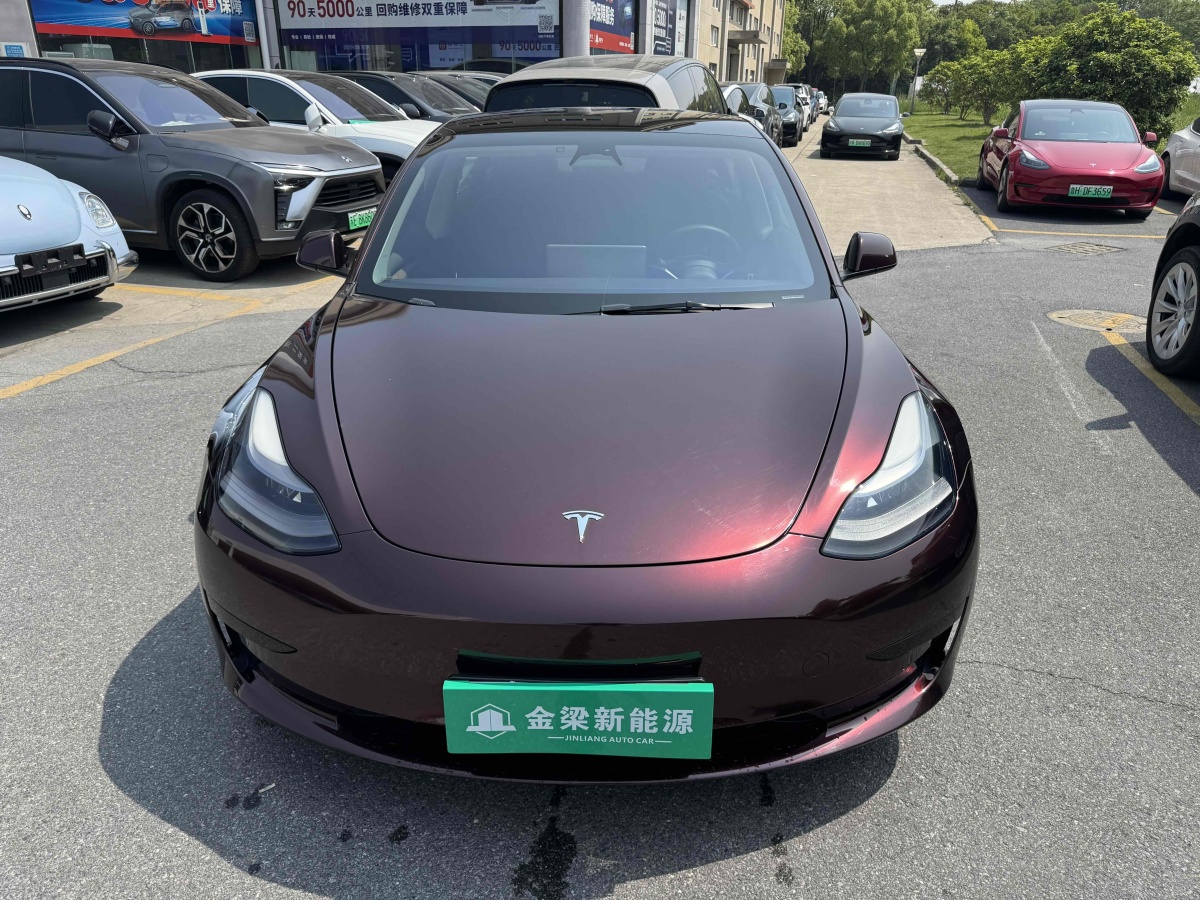 特斯拉 Model 3  2022款 后輪驅(qū)動版圖片