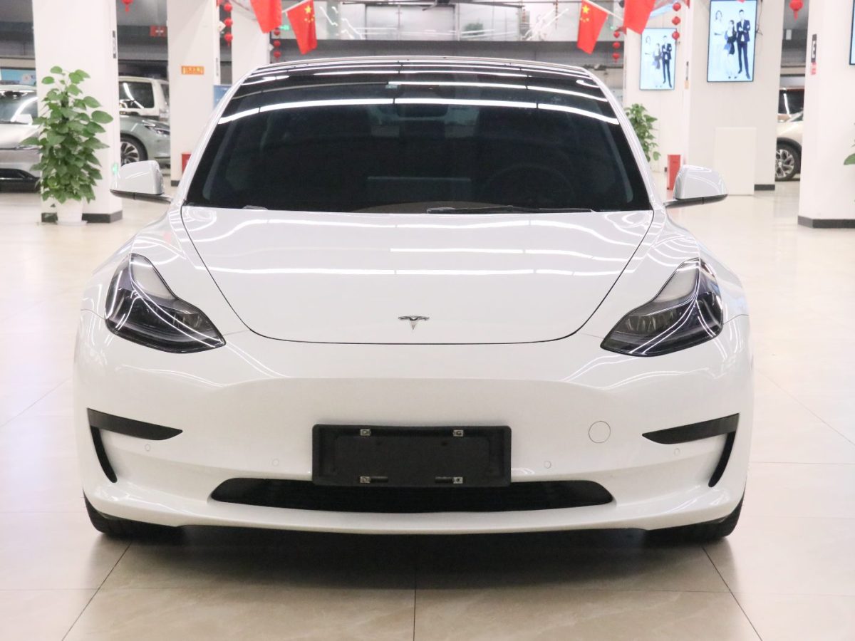 特斯拉 Model 3  2021款 標(biāo)準(zhǔn)續(xù)航后驅(qū)版圖片