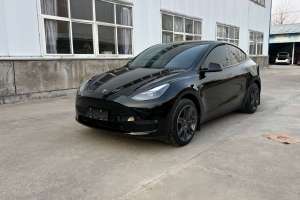 Model Y 特斯拉 改款 后輪驅(qū)動版