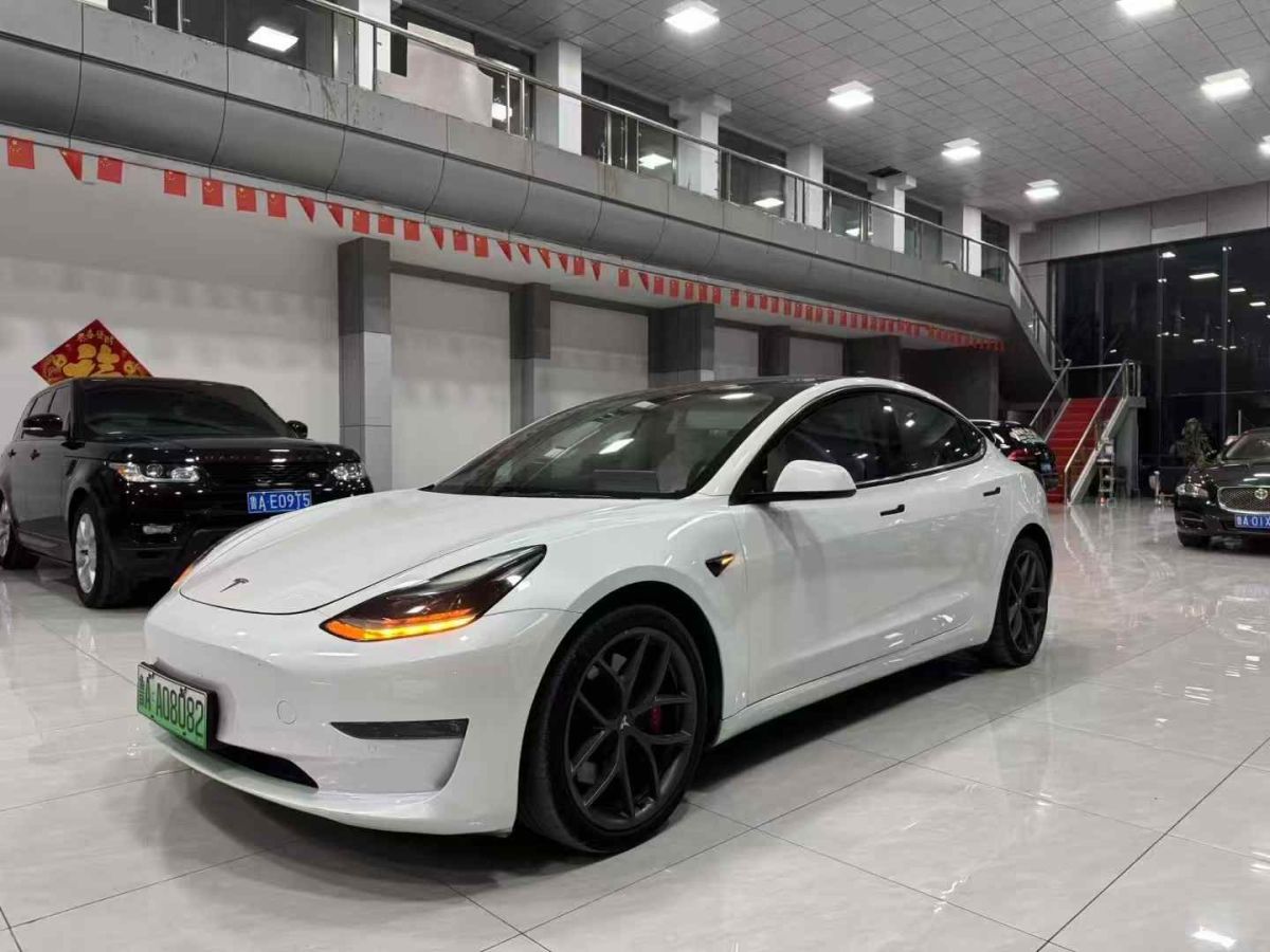 特斯拉 Model S  2021款 Performance 高性能版圖片