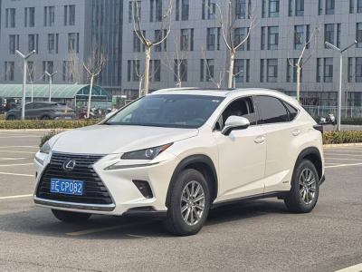 2018年5月 雷克薩斯 NX 300h 前驅(qū) 鋒尚版圖片