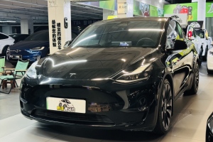 Model Y 特斯拉 Performance高性能全輪驅(qū)動版