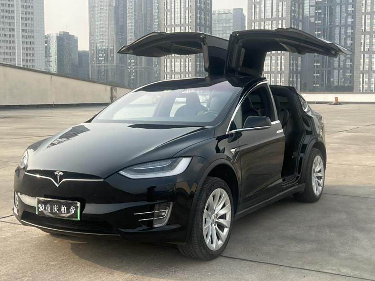 特斯拉 Model X  2020款 長續(xù)航升級版圖片