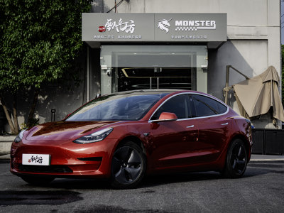 2020年8月 特斯拉 Model 3 改款 標(biāo)準(zhǔn)續(xù)航后驅(qū)升級(jí)版圖片
