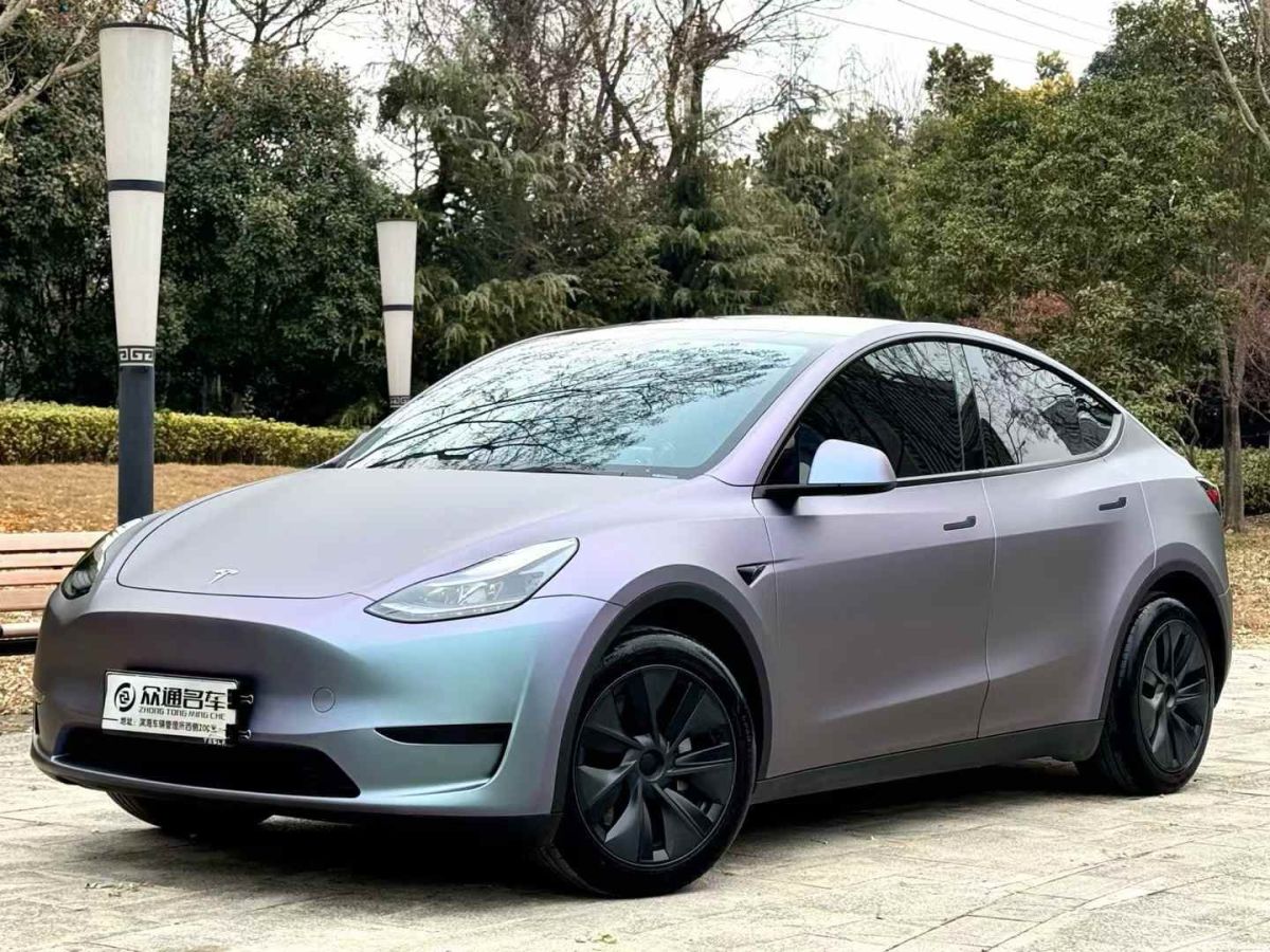 特斯拉 Model Y  2024款 Performance高性能版圖片