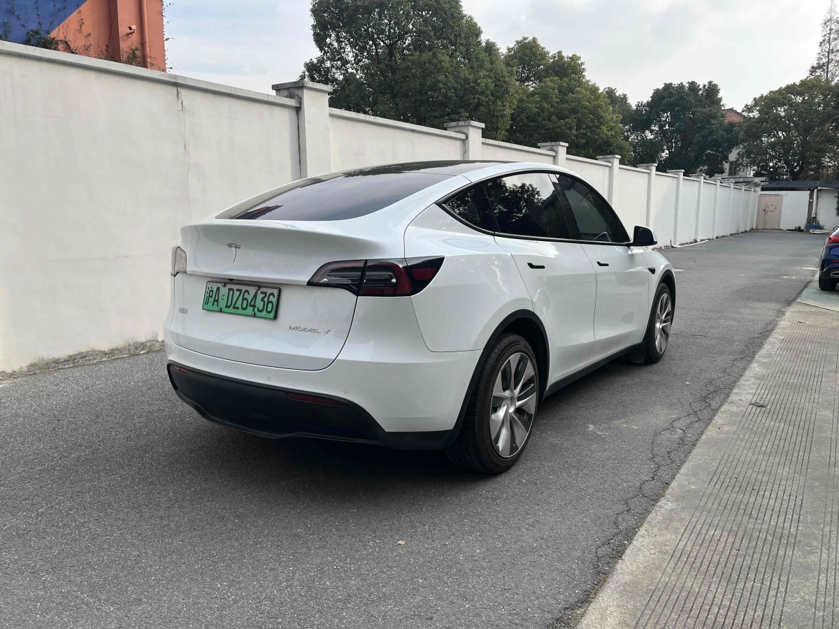 特斯拉 Model Y  2021款 長(zhǎng)續(xù)航全輪驅(qū)動(dòng)版 3D7圖片