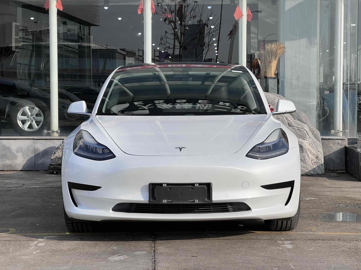 特斯拉 Model 3  2019款 標(biāo)準(zhǔn)續(xù)航后驅(qū)升級(jí)版圖片