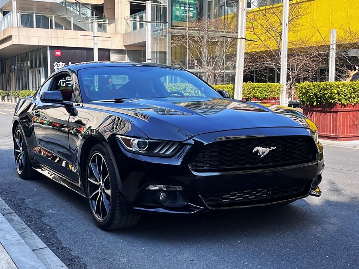 福特 Mustang  2015款 2.3T 50周年紀(jì)念版圖片