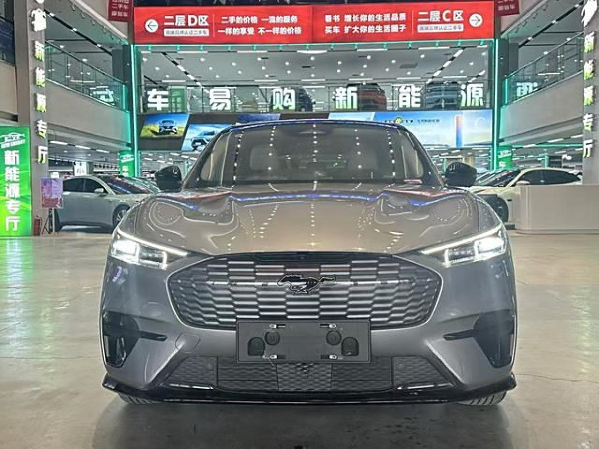 福特 Mustang Mach-E  2021款 長(zhǎng)續(xù)航后驅(qū)版圖片