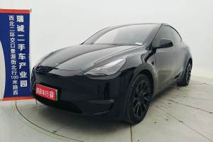 Model Y 特斯拉 后轮驱动版