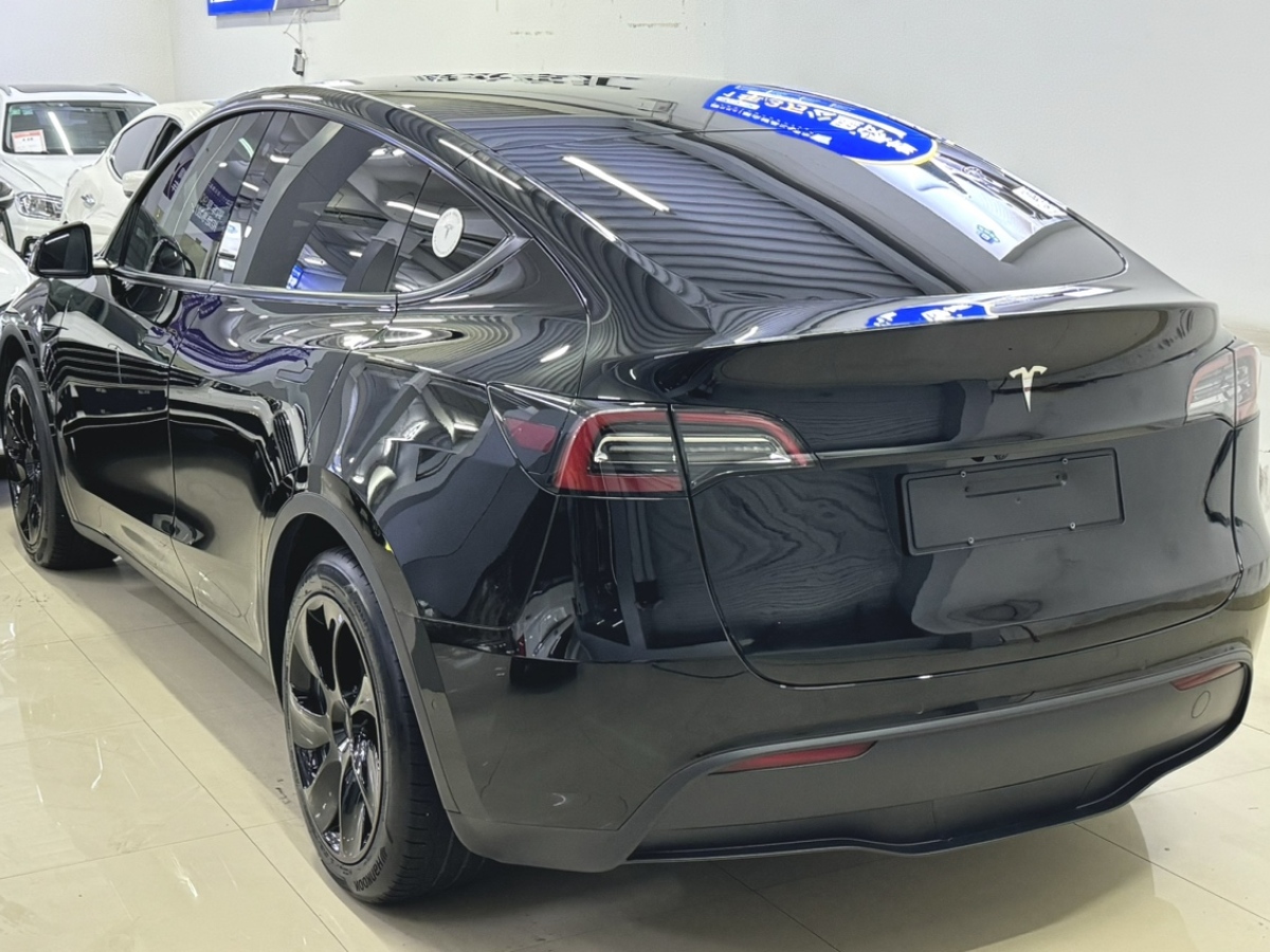 特斯拉 Model 3  2021款 標(biāo)準(zhǔn)續(xù)航后驅(qū)升級(jí)版 3D6圖片