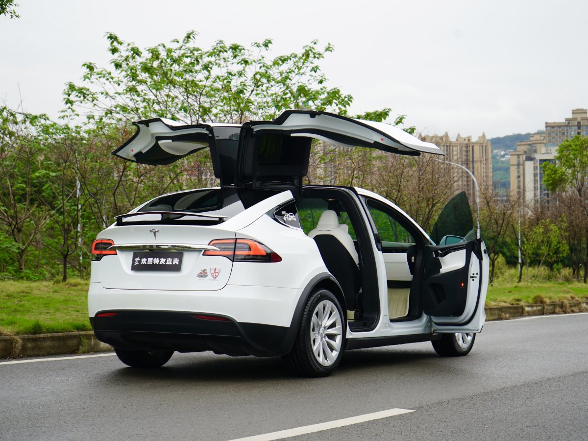 特斯拉 Model X  2019款 長(zhǎng)續(xù)航版圖片