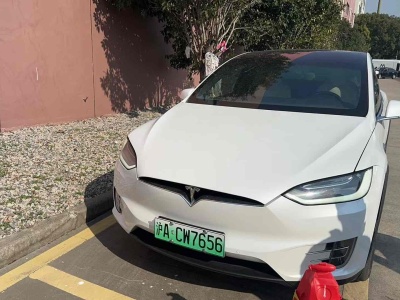 2021年1月 特斯拉 Model X 長(zhǎng)續(xù)航版圖片