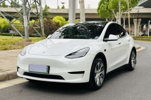 Model Y 特斯拉 改款 后輪驅(qū)動版