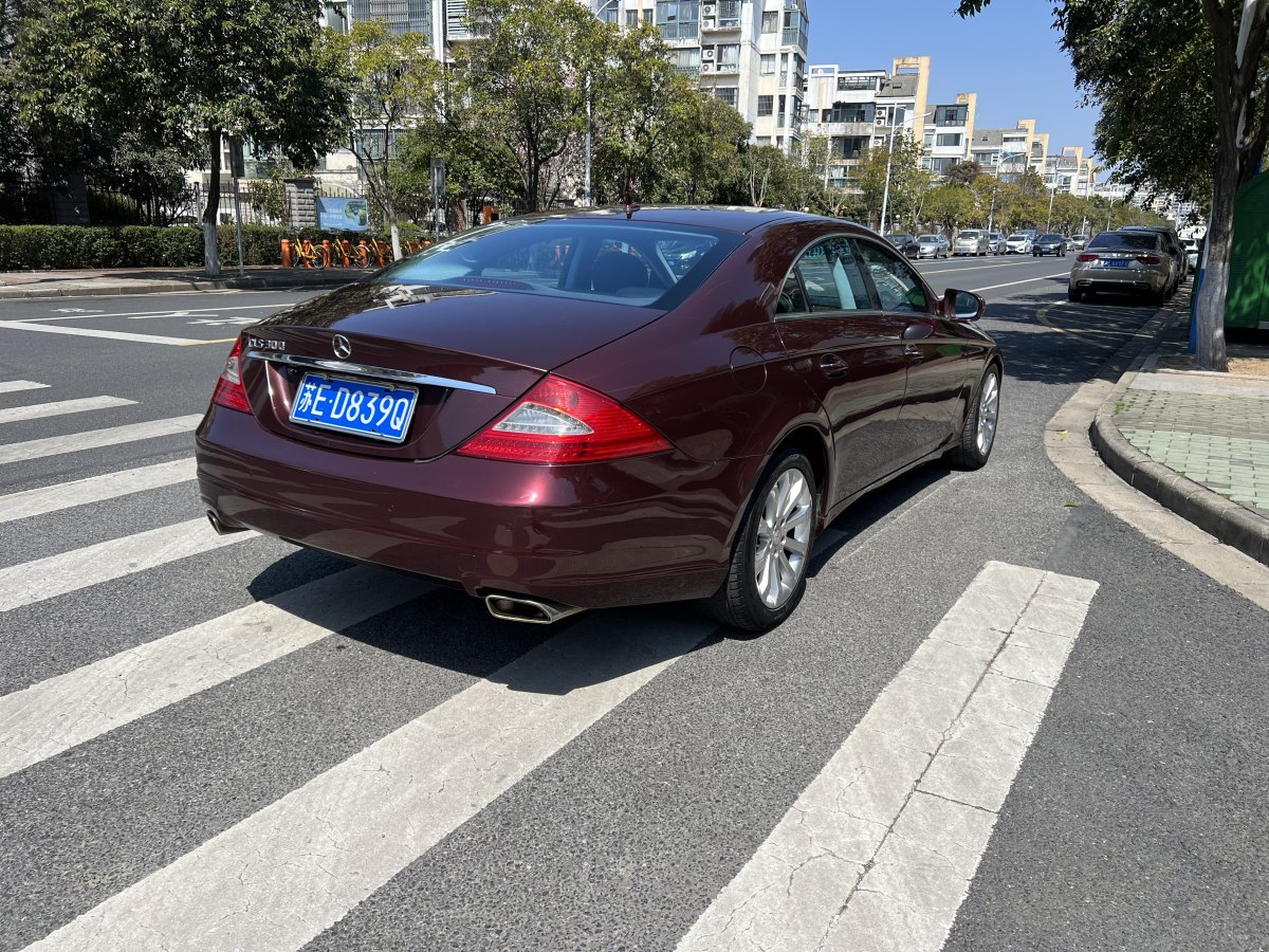 奔馳 奔馳CLS級  2009款 CLS 300圖片