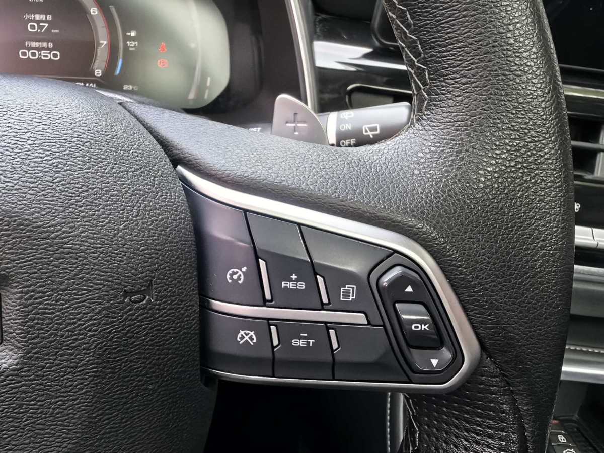 哈弗 H6  2021款 國潮版 1.5T 自動冠軍版圖片