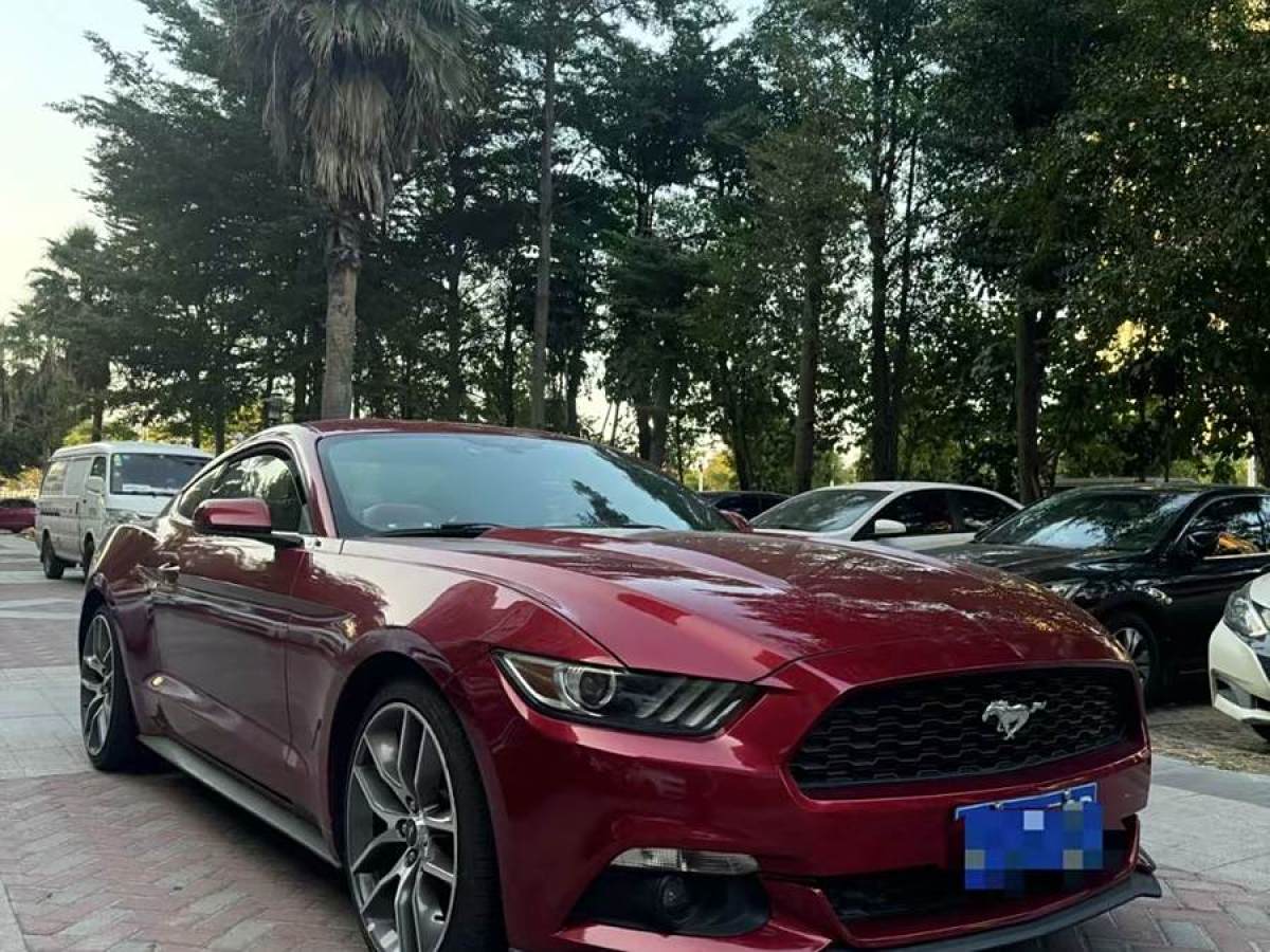 福特 Mustang  2017款 2.3T 性能版圖片