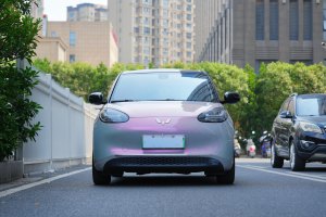 五菱繽果 五菱 333km 靈犀互聯(lián)+款