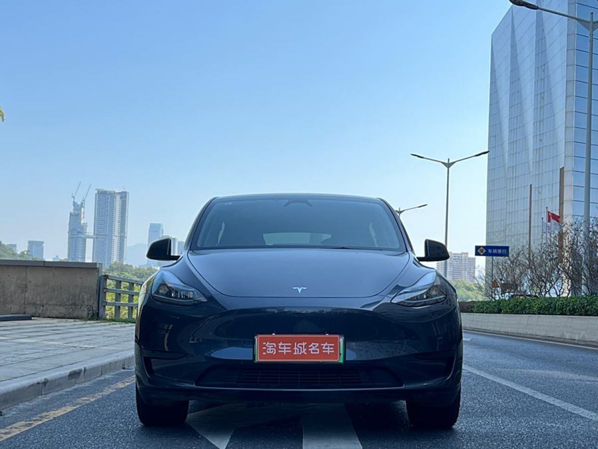 特斯拉 Model Y  2020款 改款 長續(xù)航后輪驅(qū)動版圖片