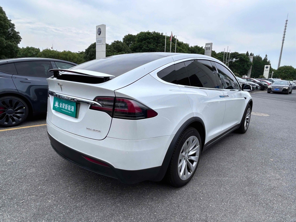 特斯拉 Model X  2019款 Performance 高性能版圖片