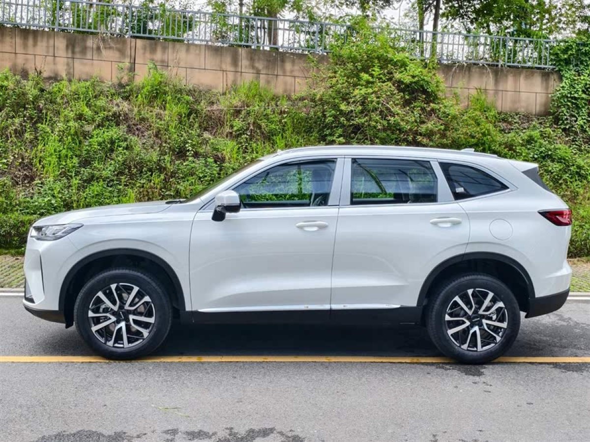 哈弗 H6  2024款 1.5T 兩驅(qū)經(jīng)典版圖片