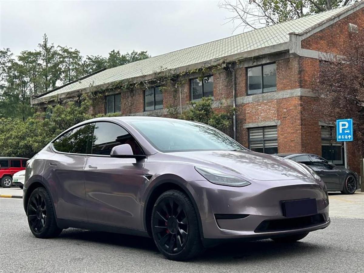 特斯拉 Model Y  2020款 改款 長(zhǎng)續(xù)航后輪驅(qū)動(dòng)版圖片