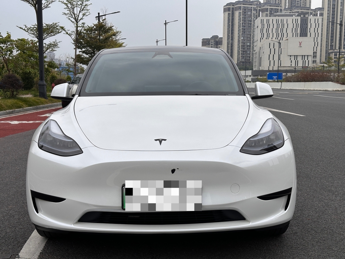 特斯拉 Model 3  2020款 改款 長(zhǎng)續(xù)航后輪驅(qū)動(dòng)版圖片