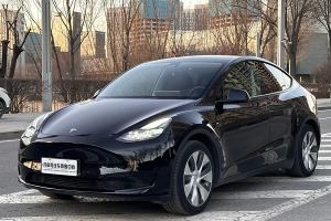 Model 3 特斯拉 改款 長續(xù)航后輪驅(qū)動版