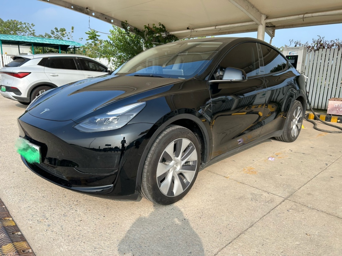 特斯拉 Model Y  2021款 改款 標(biāo)準(zhǔn)續(xù)航后驅(qū)升級(jí)版圖片