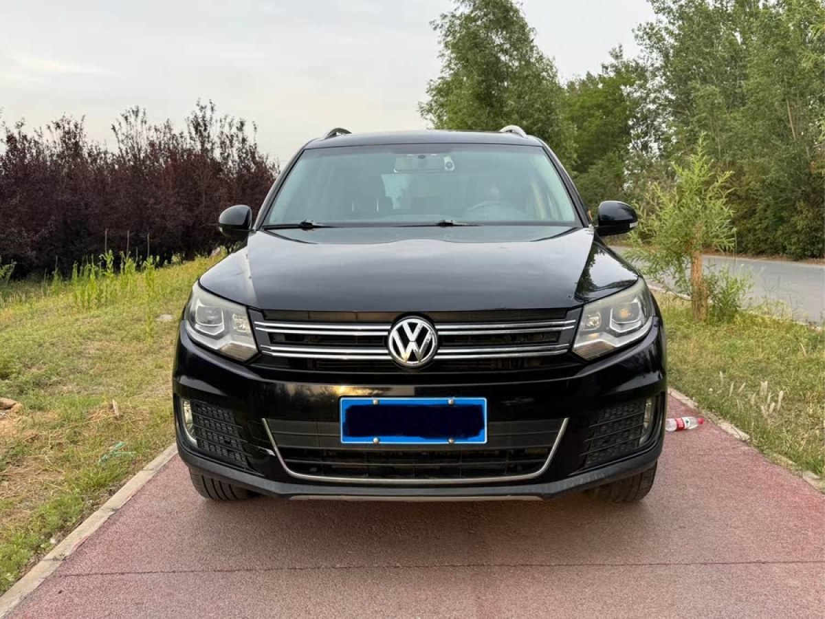大眾 途觀  2013款 1.8TSI 自動兩驅(qū)豪華型圖片