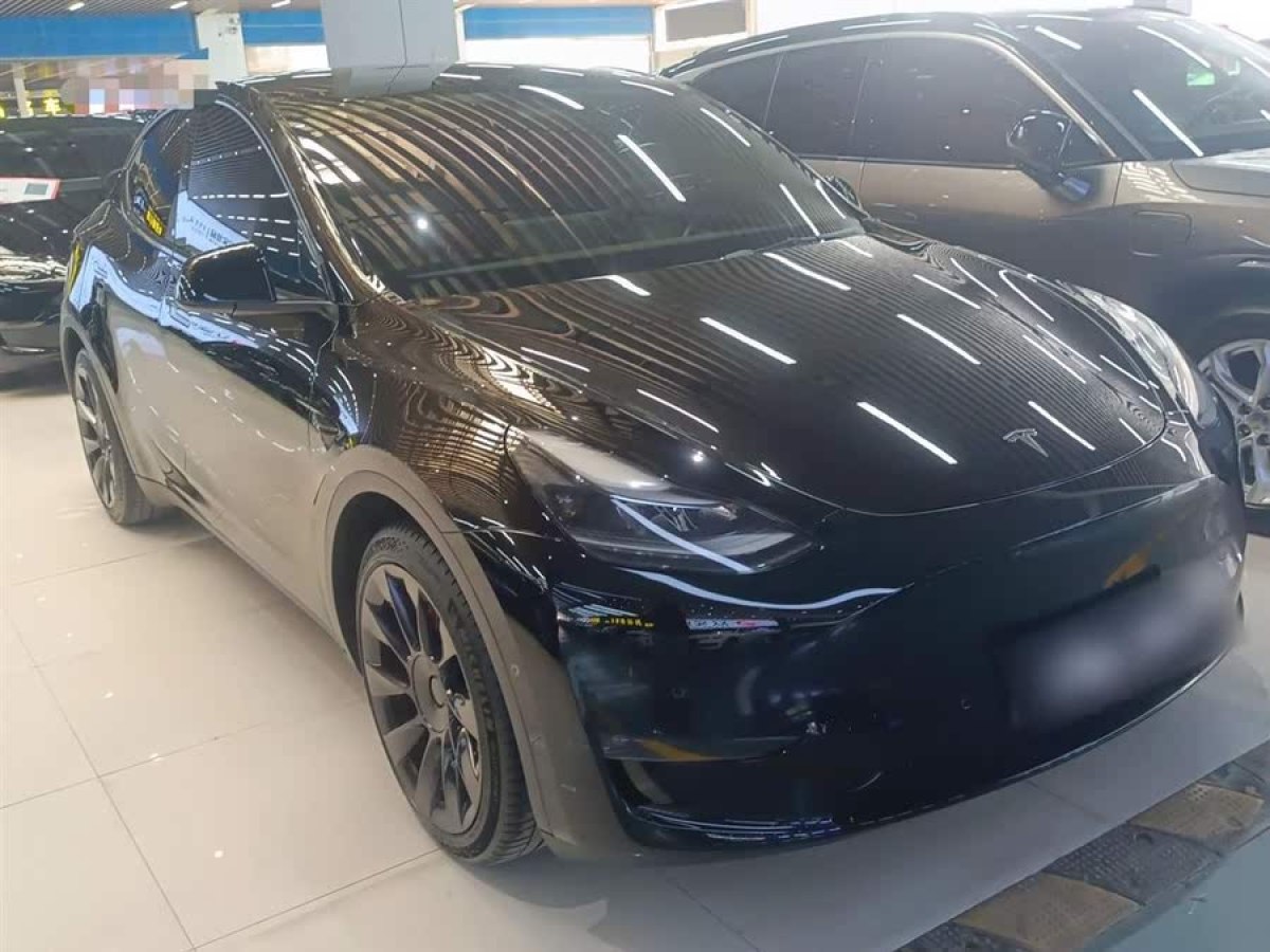 特斯拉 Model Y  2021款 標(biāo)準(zhǔn)續(xù)航后驅(qū)版圖片