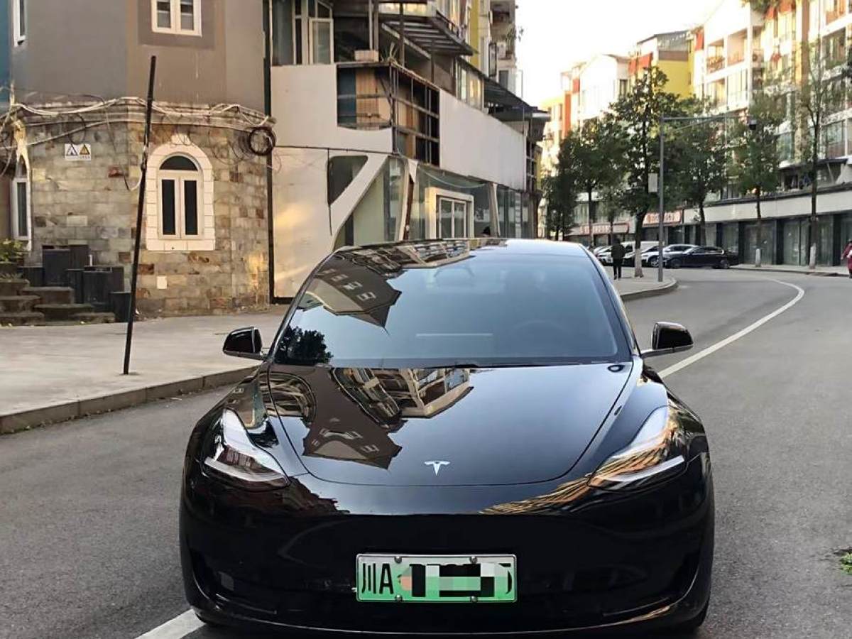 特斯拉 Model 3  2020款 改款 標(biāo)準(zhǔn)續(xù)航后驅(qū)升級(jí)版圖片