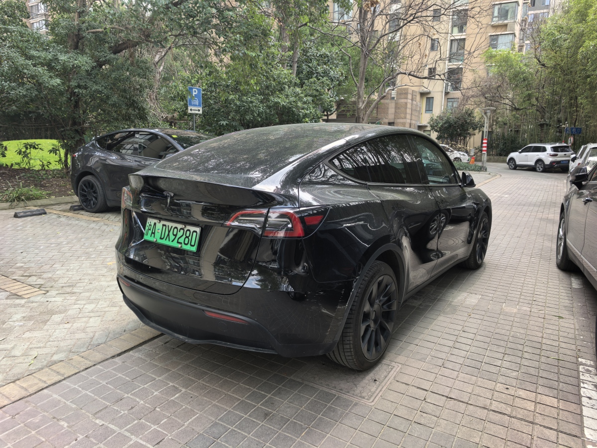 特斯拉 Model Y  2021款 長續(xù)航全輪驅(qū)動(dòng)版 3D7圖片