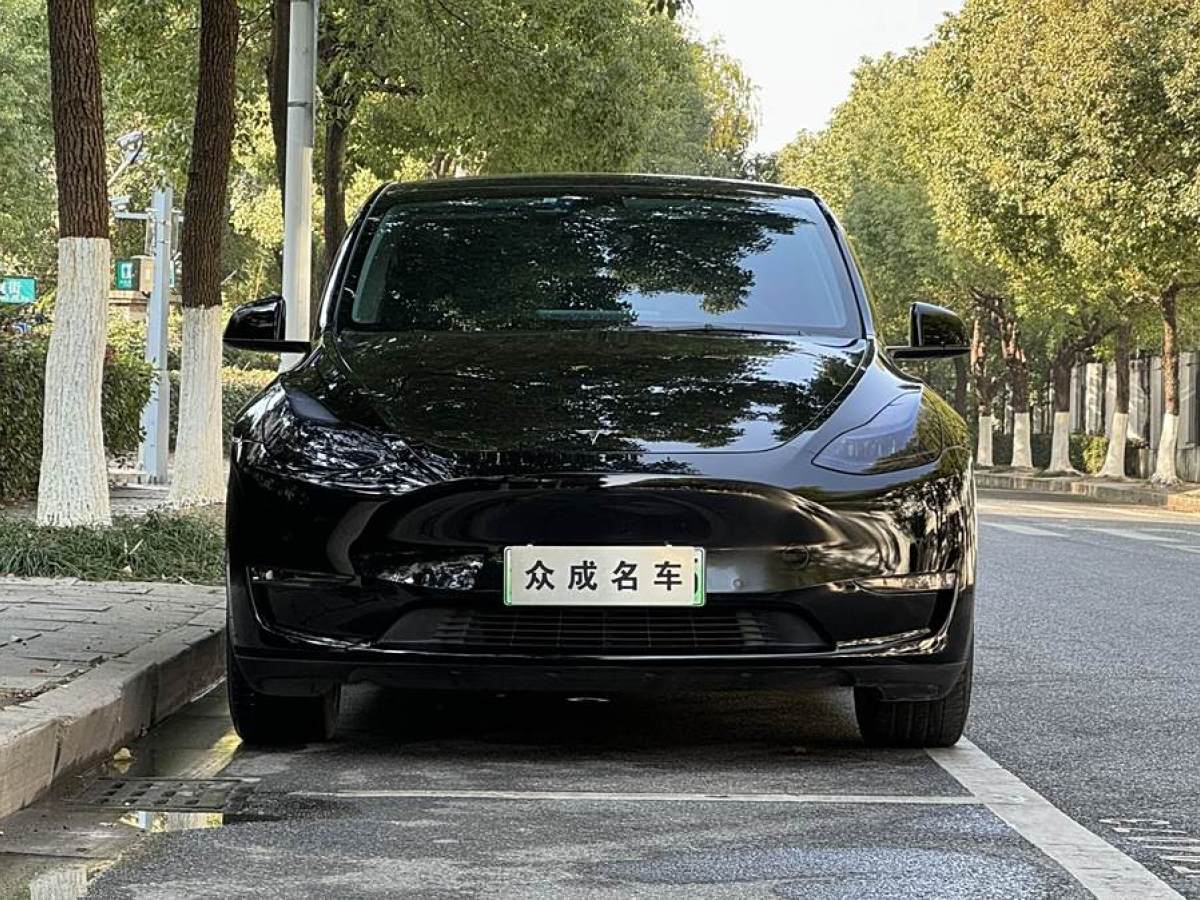 特斯拉 Model 3  2021款 改款 標(biāo)準(zhǔn)續(xù)航后驅(qū)升級(jí)版圖片