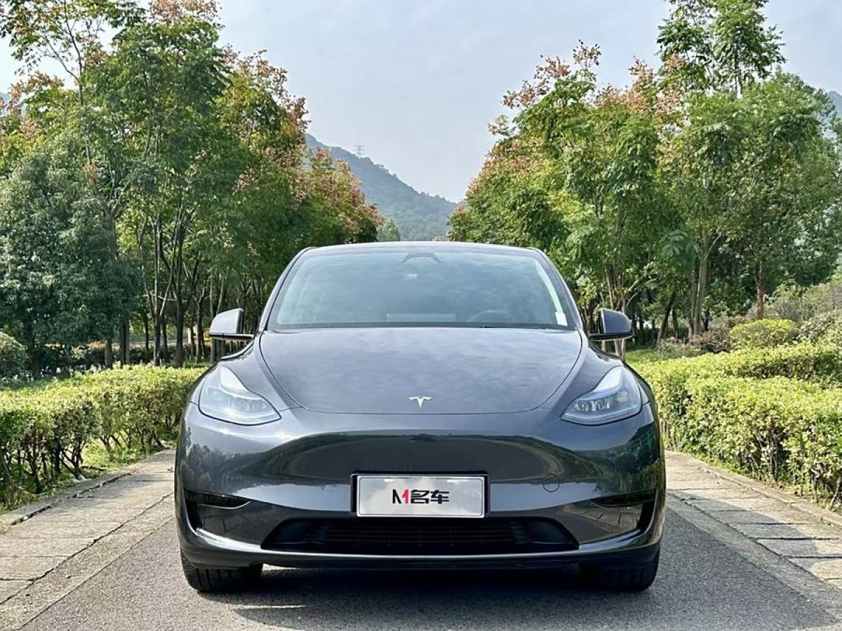 特斯拉 Model Y  2020款 改款 長續(xù)航后輪驅(qū)動版圖片