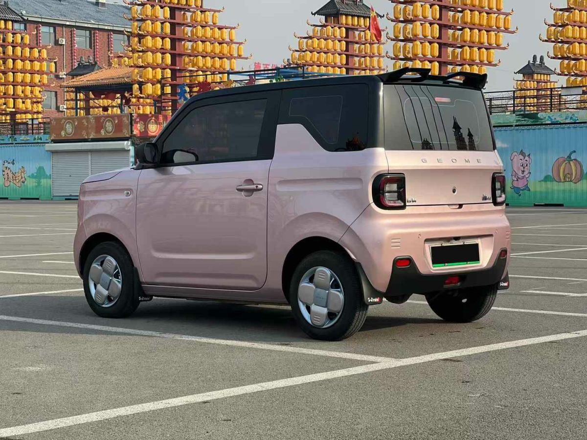 吉利 熊貓mini  2024款 200km 熊貓騎士圖片