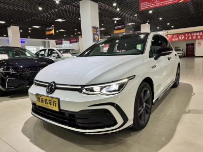 2022年8月 大众 高尔夫 280TSI DSG R-Line图片