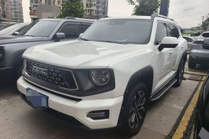 哈弗二代大狗 哈弗 2.0T 四驅(qū)潮野Plus