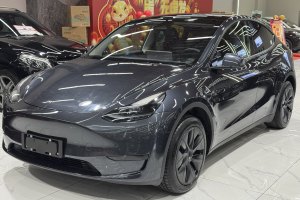 Model 3 特斯拉 改款 長續(xù)航后輪驅(qū)動版