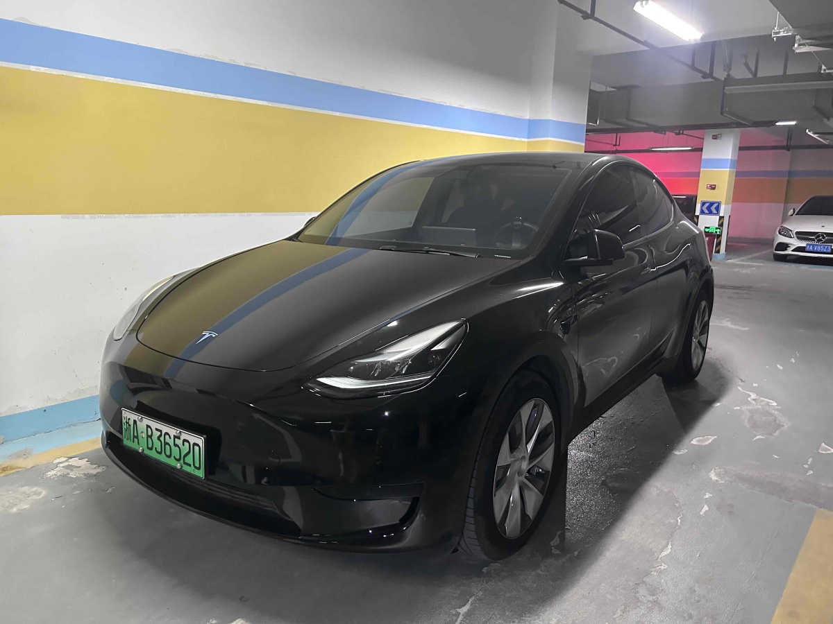 特斯拉 Model 3  2020款 改款 長續(xù)航后輪驅(qū)動(dòng)版圖片