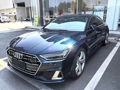 2023年8月 奧迪 奧迪A7L 45 TFSI quattro S-line 黑武士版圖片