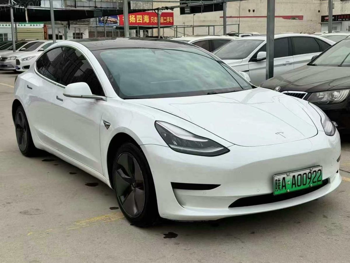 特斯拉 Model 3  2020款 標準續(xù)航后驅(qū)升級版圖片