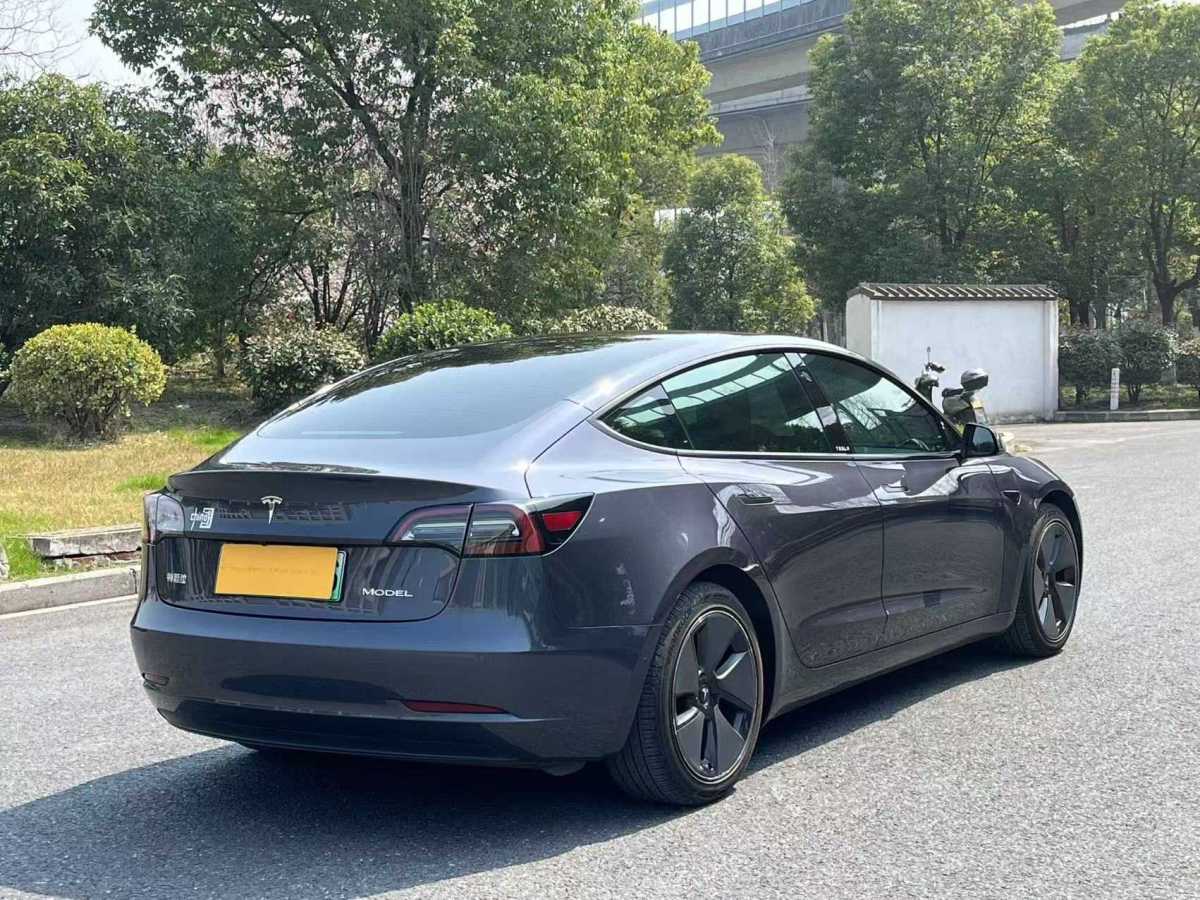 特斯拉 Model 3  2020款 改款 標(biāo)準(zhǔn)續(xù)航后驅(qū)升級版圖片